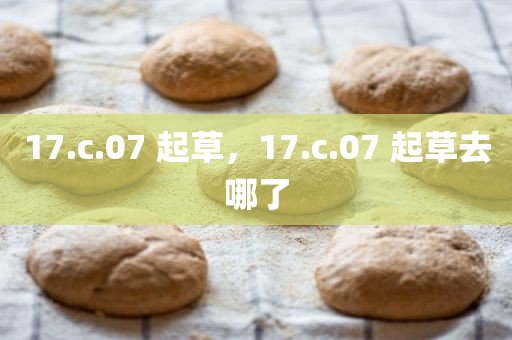 17.c.07 起草，17.c.07 起草去哪了