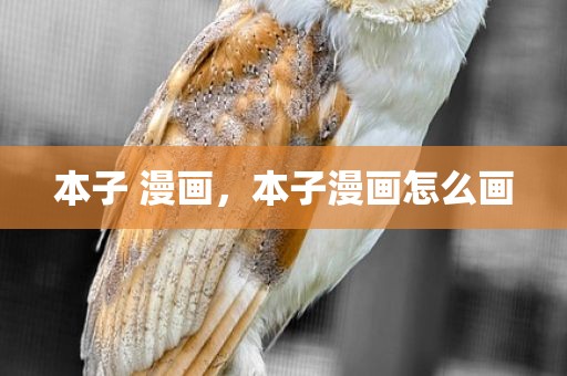 本子 漫画，本子漫画怎么画