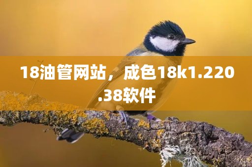 18油管网站，成色18k1.220.38软件