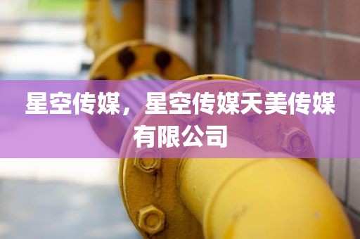星空传媒，星空传媒天美传媒有限公司