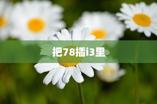 把78插i3里