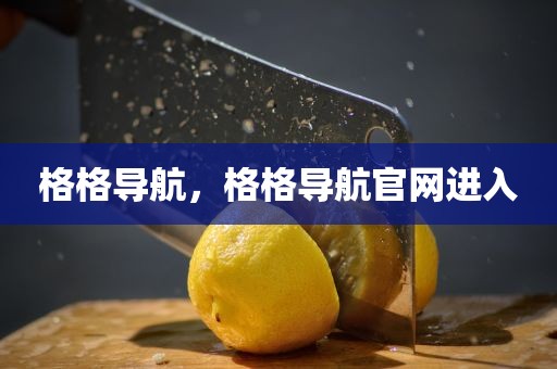 格格导航，格格导航官网进入