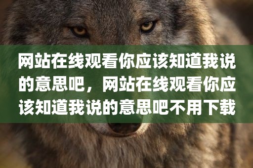 网站在线观看你应该知道我说的意思吧，网站在线观看你应该知道我说的意思吧不用下载