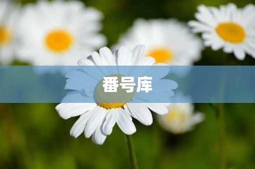 番号库