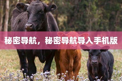 秘密导航，秘密导航导入手机版