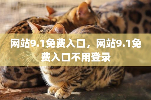网站9.1免费入口，网站9.1免费入口不用登录