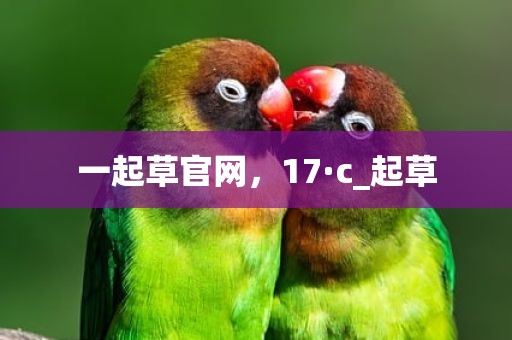 一起草官网，17·c_起草