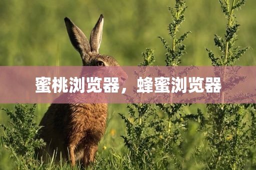 蜜桃浏览器，蜂蜜浏览器