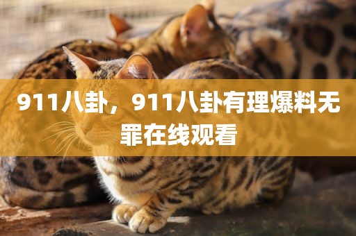 911八卦，911八卦有理爆料无罪在线观看