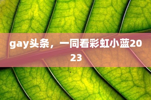 gay头条，一同看彩虹小蓝2023