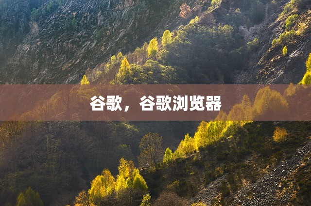 谷歌，谷歌浏览器