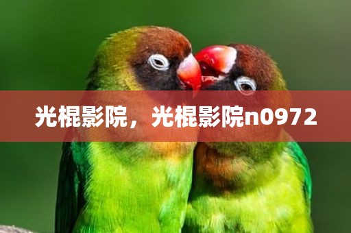 光棍影院，光棍影院n0972