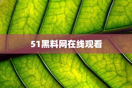 51黑料网在线观看