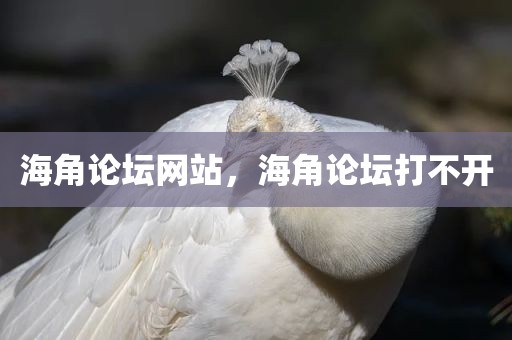 海角论坛网站，海角论坛打不开