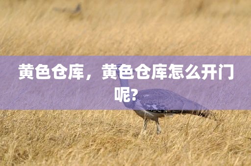 黄色仓库，黄色仓库怎么开门呢?