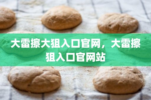 大雷擦大狙入口官网，大雷擦狙入口官网站