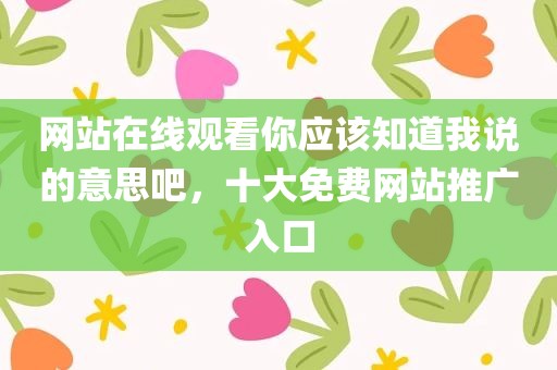 网站在线观看你应该知道我说的意思吧，十大免费网站推广入口