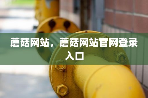蘑菇网站，蘑菇网站官网登录入口