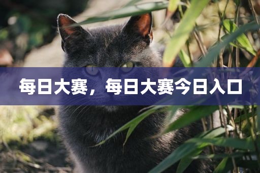每日大赛，每日大赛今日入口