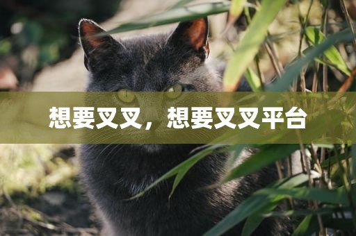 想要叉叉，想要叉叉平台