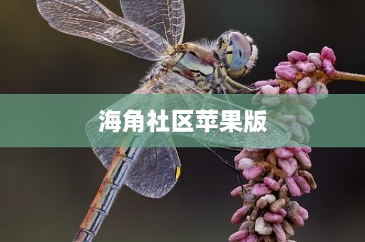 海角社区苹果版