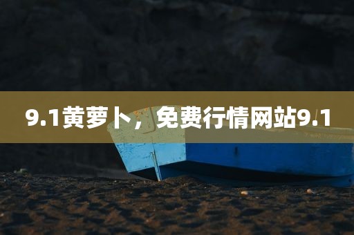 9.1黄萝卜，免费行情网站9.1