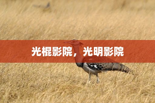 光棍影院，光明影院