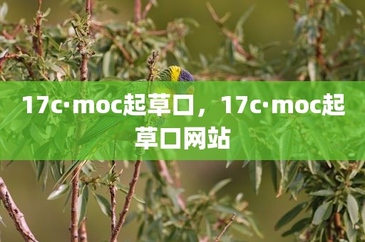17c·moc起草口，17c·moc起草口网站