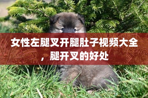 女性左腿叉开腿肚子视频大全，腿开叉的好处