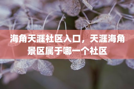 海角天涯社区入口，天涯海角景区属于哪一个社区