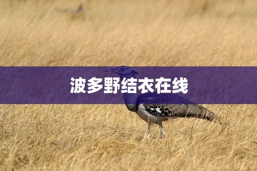 波多野结衣在线
