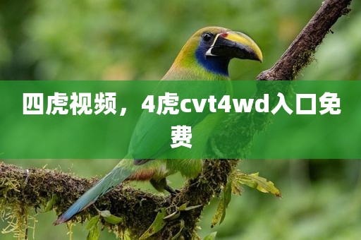 四虎视频，4虎cvt4wd入口免费