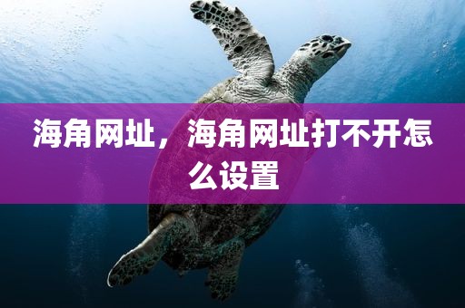 海角网址，海角网址打不开怎么设置