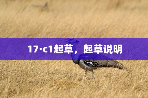 17·c1起草，起草说明