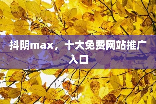 抖阴max，十大免费网站推广入口