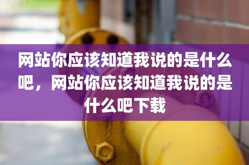 网站你应该知道我说的是什么吧，网站你应该知道我说的是什么吧下载