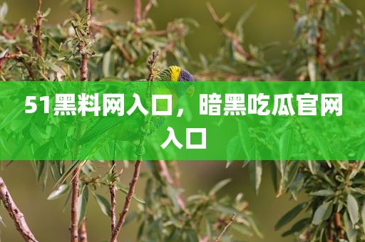 51黑料网入口，暗黑吃瓜官网入口