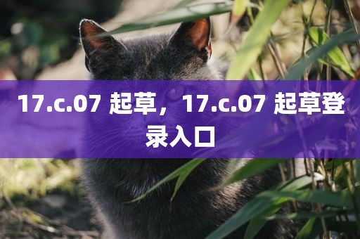 17.c.07 起草，17.c.07 起草登录入口