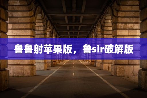 鲁鲁射苹果版，鲁sir破解版