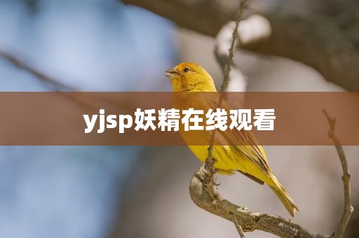 yjsp妖精在线观看