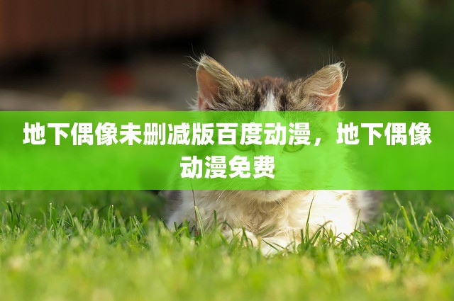地下偶像未删减版百度动漫，地下偶像动漫免费