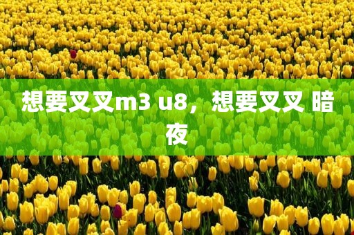 想要叉叉m3 u8，想要叉叉 暗夜