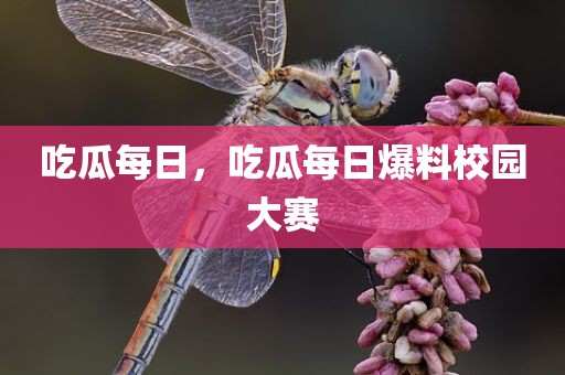 吃瓜每日，吃瓜每日爆料校园大赛