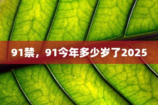 91禁，91今年多少岁了2025