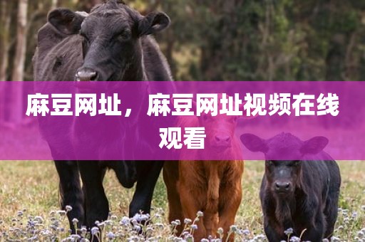 麻豆网址，麻豆网址视频在线观看