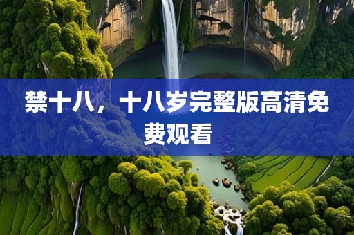 禁十八，十八岁完整版高清免费观看