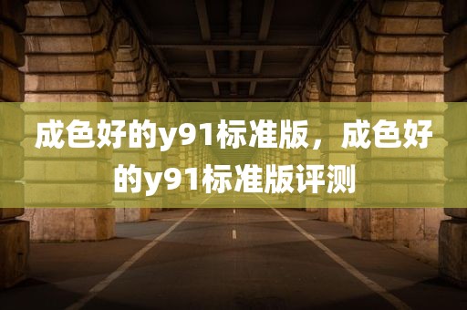 成色好的y91标准版，成色好的y91标准版评测