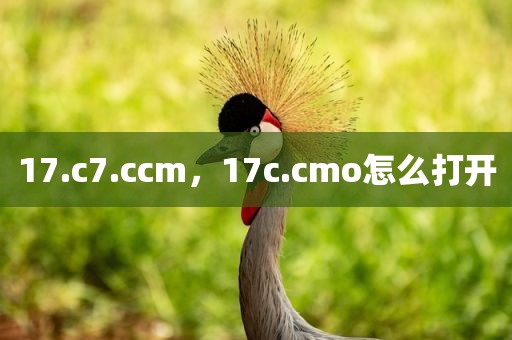 17.c7.ccm，17c.cmo怎么打开