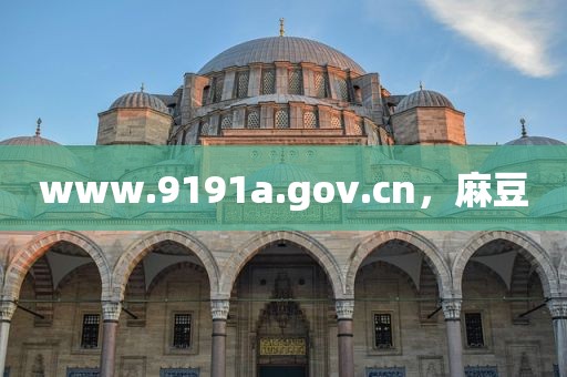 www.9191a.gov.cn，麻豆