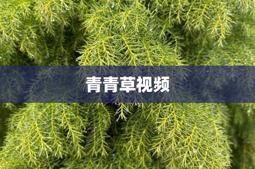 青青草视频